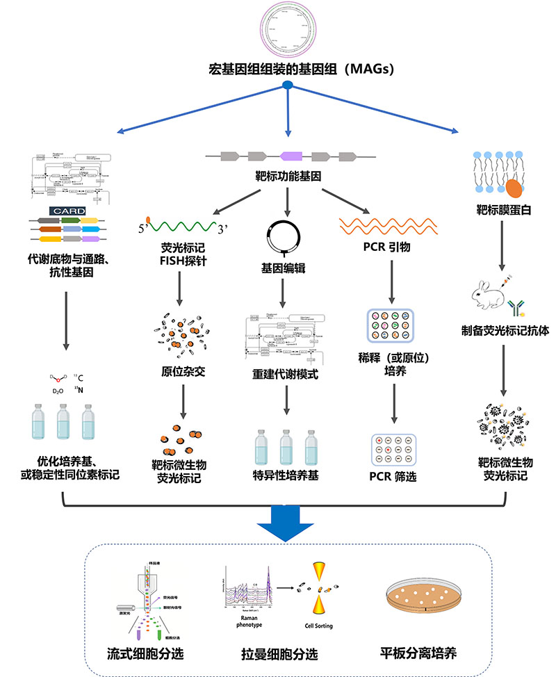 图 分离目标微生物群的特殊培养基设计方法800.jpg