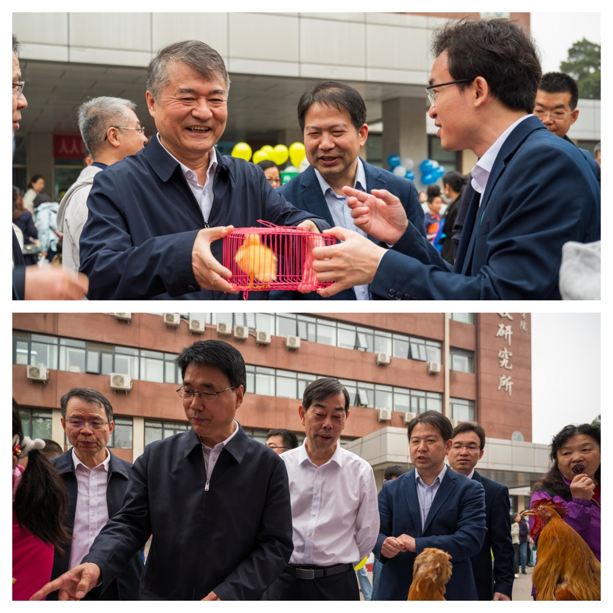 第六届农科开放日——牧医所带公众探索“美味鸡 优质乳 聪明蛋 加油鸭 致富牛”