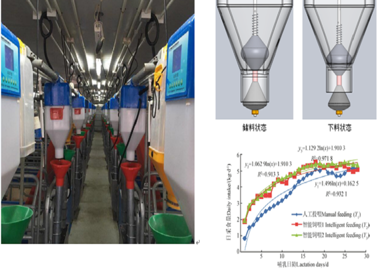 哺乳母猪精准饲喂系统