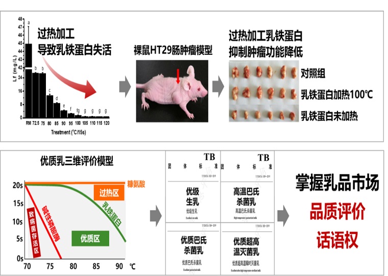 【国家奖】科技筑牢安全基础 引领奶业高质量优质发展——记国家科学技术进步奖二等奖“奶及奶制品安全控制与质量提升关键技术” 