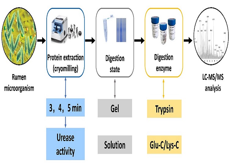 奶产品质量与风险评估科技创新团队成功构建瘤胃微生物脲酶的靶向宏蛋白质组方法